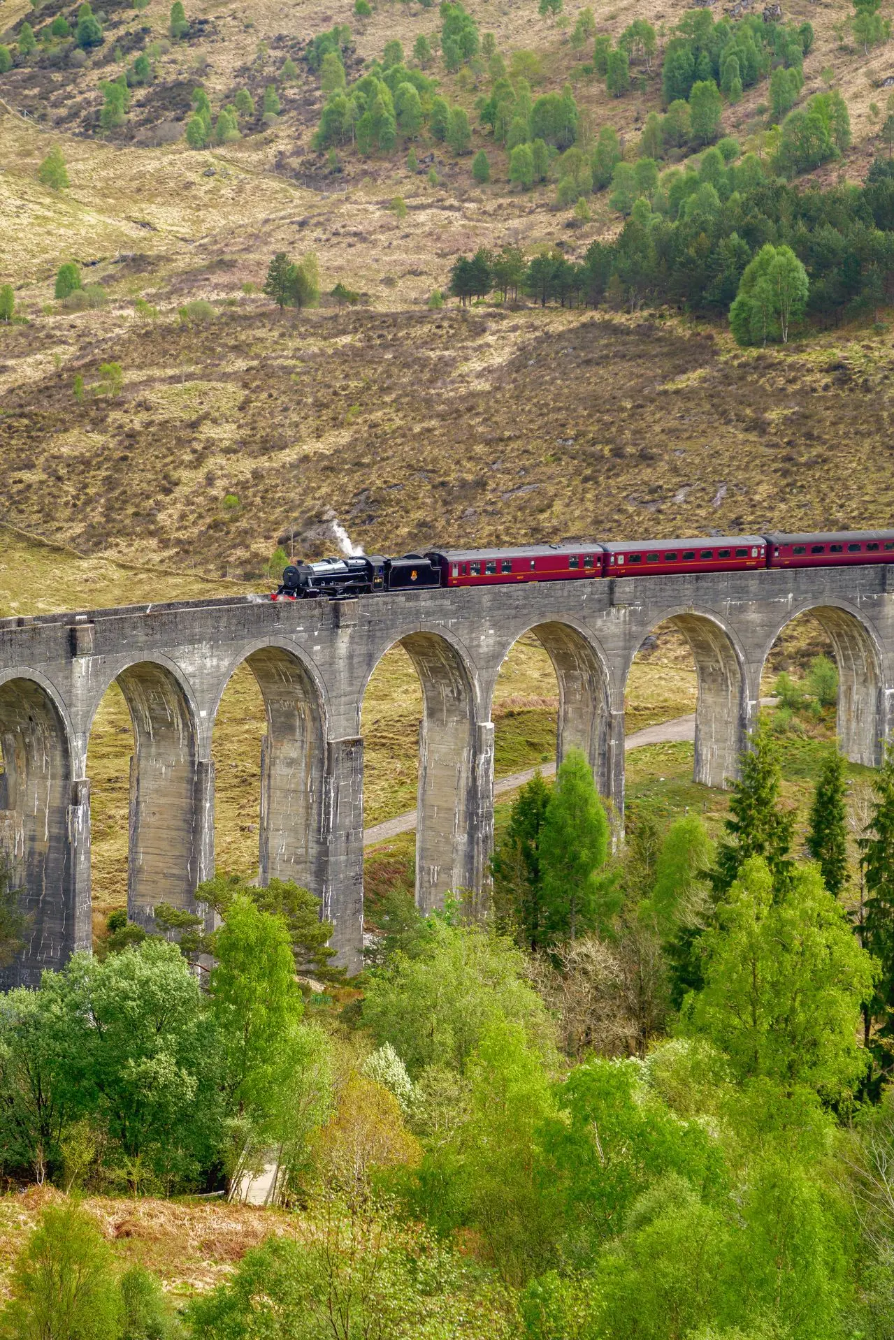Photo du train, par Murmureur