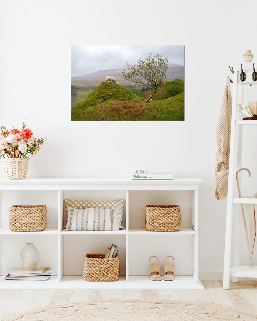 Fairy_glen_mouton_scotland_aluminium_2_entrée.webp