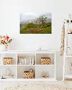 Fairy_glen_mouton_scotland_aluminium_2_entrée.webp