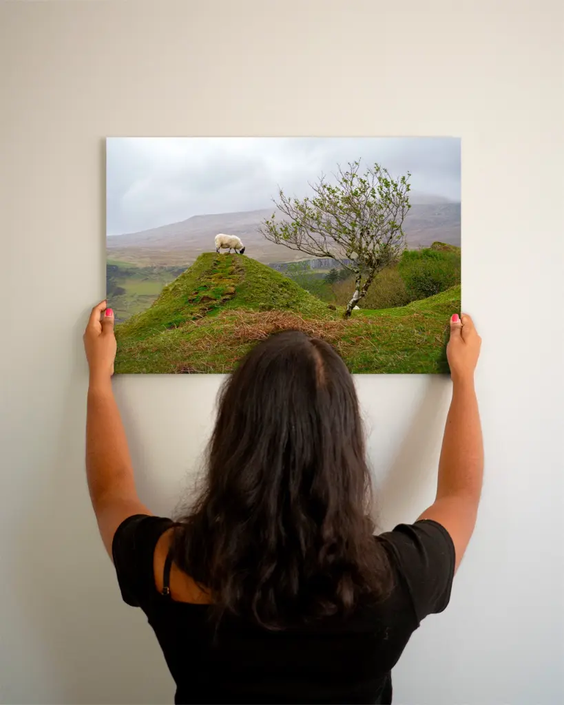 Fairy_glen_mouton_scotland_aluminium_3_femme_mur.webp
