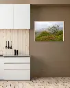 Fairy_glen_mouton_scotland_poster_cadre_4_cuisine_moderne.webp