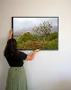 Fairy_glen_mouton_scotland_poster_cadre_3_femme_mur.webp