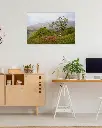 Fairy_glen_mouton_scotland_fine art_4_bureau_atelier_maison.webp