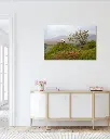 Fairy_glen_mouton_scotland_toile_simple_2_couloir_ancien.webp