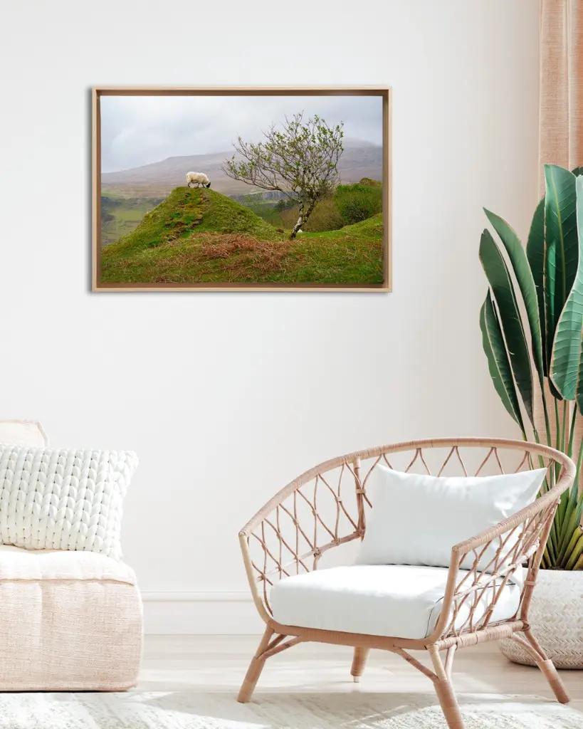 Fairy_glen_mouton_scotland_toile_cadre_4_salon_osier.webp