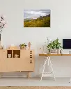 Old_man_storr_drone_toile_simple_4_bureau_atelier_maison.webp