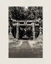 Temple_Torii_Kochi_aluminium_1.webp