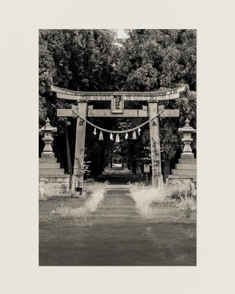 Temple_Torii_Kochi_fine art_1.webp