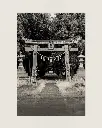 Temple_Torii_Kochi_fine art_1.webp