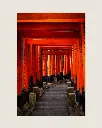 Torii_Temple_Inari_fine art_1.webp