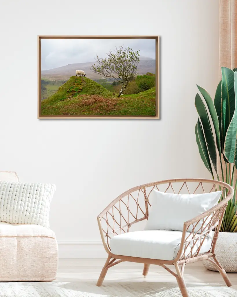 Fairy_glen_mouton_scotland_toile_cadre_3_salon_osier.webp
