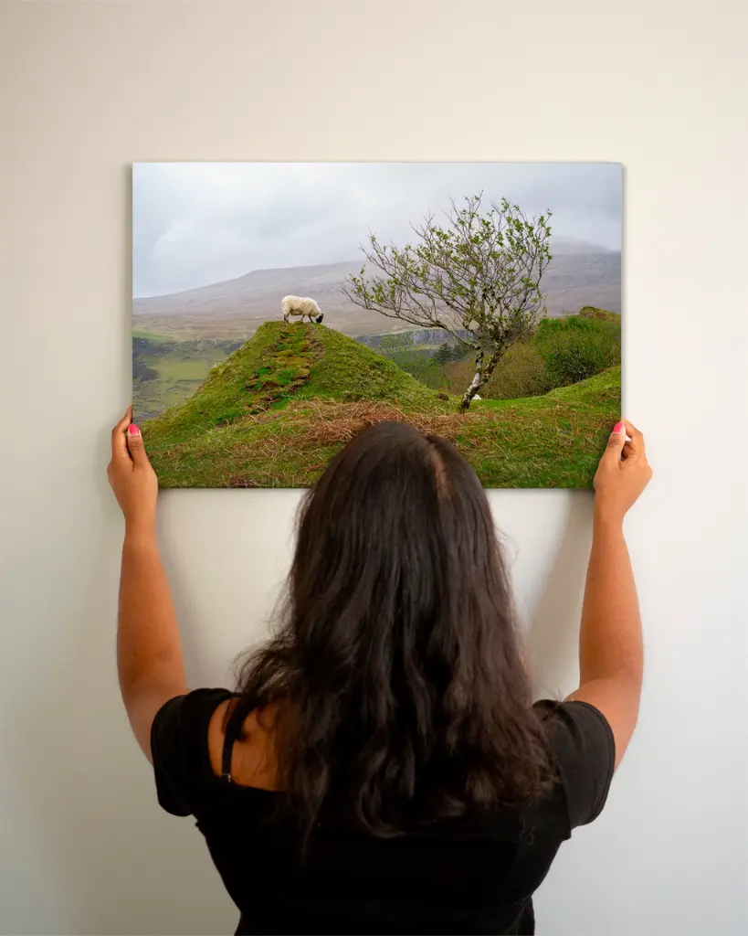 Fairy_glen_mouton_scotland_toile_simple_2_femme_mur.webp