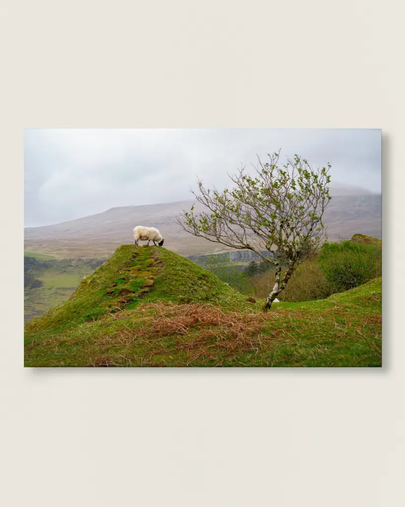 Fairy_glen_mouton_scotland_toile_simple_7.webp
