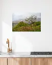 Fairy_glen_mouton_scotland_toile_simple_4_cuisine_scandinave_moderne.webp