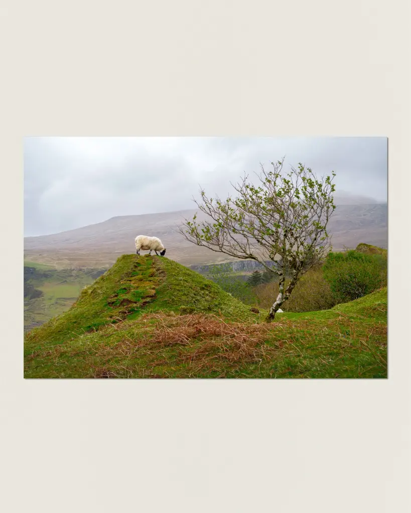 Fairy_glen_mouton_scotland_aluminium_7.webp