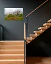 Fairy_glen_mouton_scotland_aluminium_4_escalier_bois_moderne.webp
