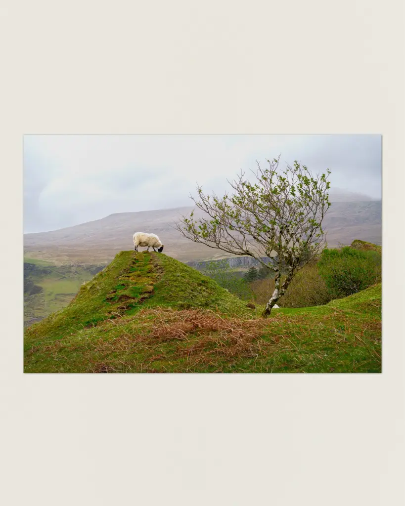 Fairy_glen_mouton_scotland_fine art_7.webp
