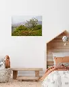 Fairy_glen_mouton_scotland_fine art_4_chambre_enfant_scandinave_moderne.webp
