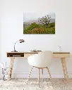 Fairy_glen_mouton_scotland_fine art_5_bureau_scandinave_moderne.webp