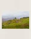 Fairy_glen_montagne_scotland_fine art_7.webp