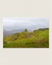 Fairy_glen_montagne_scotland_aluminium_7.webp