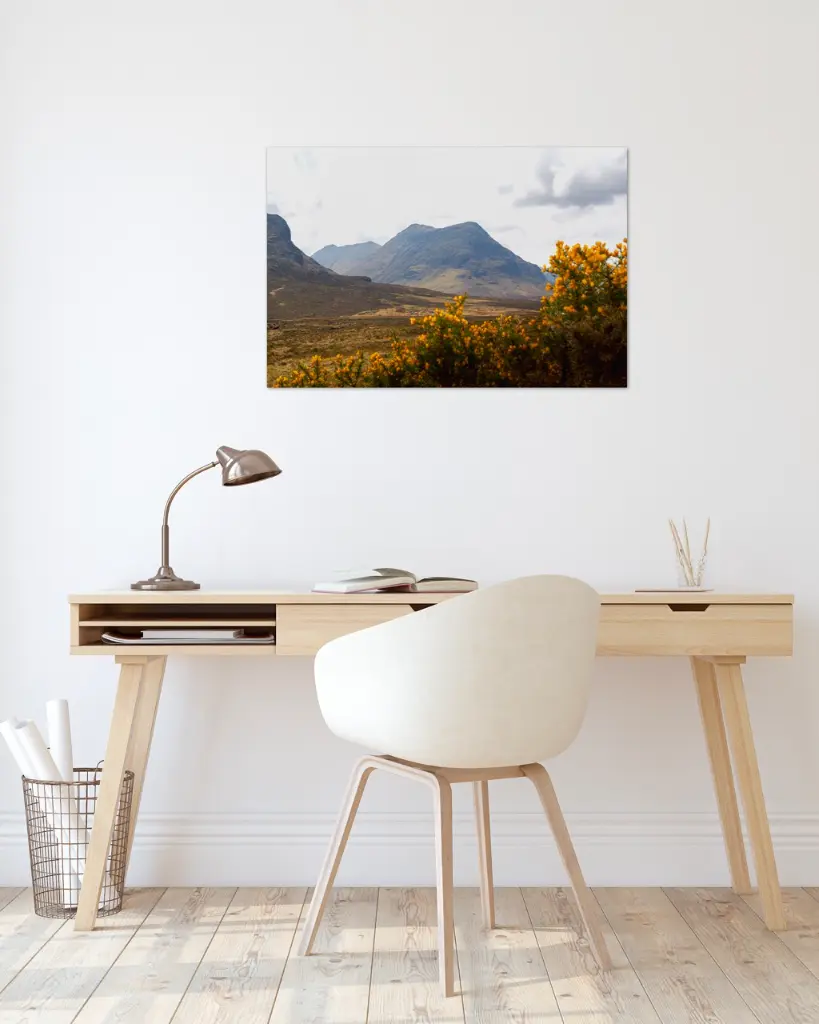 Glencoe_vallee_fleur_jaune_montagne_scotland_fine art_5_bureau_scandinave_moderne.webp
