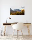 Glencoe_vallee_fleur_jaune_montagne_scotland_fine art_5_bureau_scandinave_moderne.webp