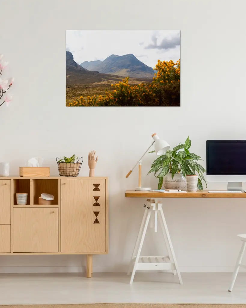 Glencoe_vallee_fleur_jaune_montagne_scotland_fine art_3_bureau_atelier_maison.webp