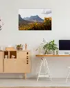 Glencoe_vallee_fleur_jaune_montagne_scotland_fine art_3_bureau_atelier_maison.webp