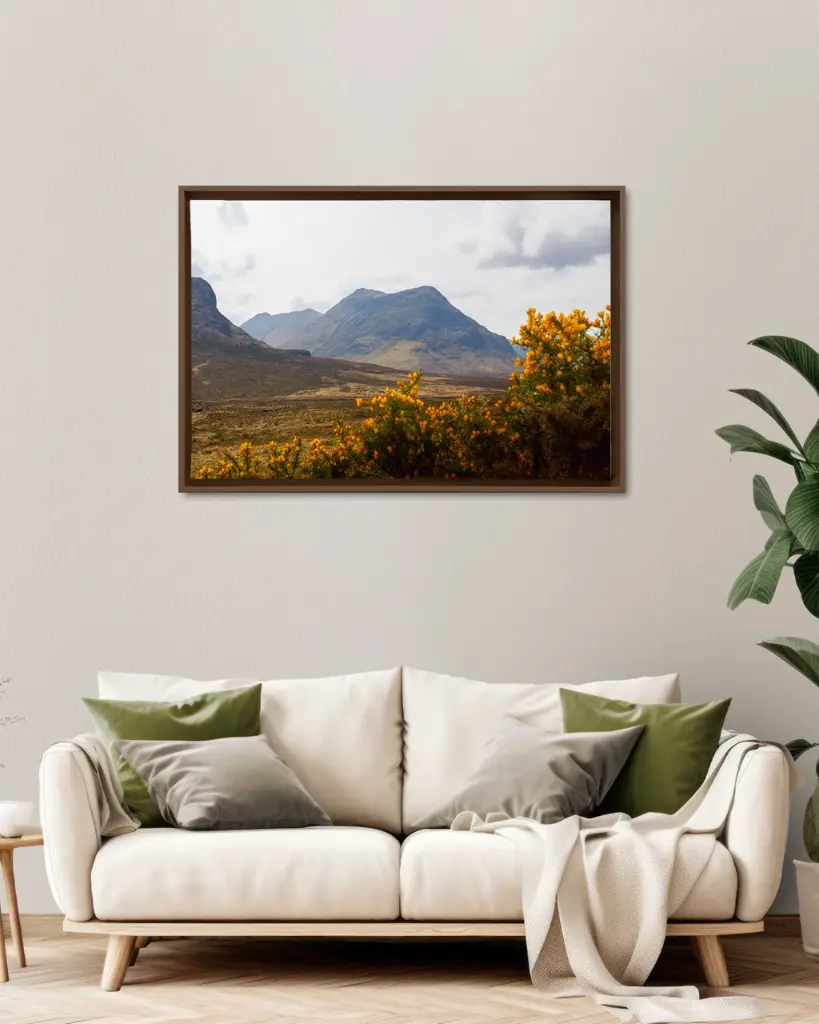 Glencoe_vallee_fleur_jaune_montagne_scotland_toile_cadre_1_ambiance.webp