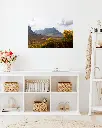 Glencoe_vallee_fleur_jaune_montagne_scotland_aluminium_2_entrée.webp