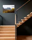 Glencoe_vallee_fleur_jaune_montagne_scotland_aluminium_5_escalier_bois_moderne.webp