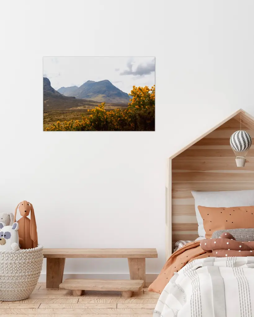 Glencoe_vallee_fleur_jaune_montagne_scotland_fine art_5_chambre_enfant_scandinave_moderne.webp