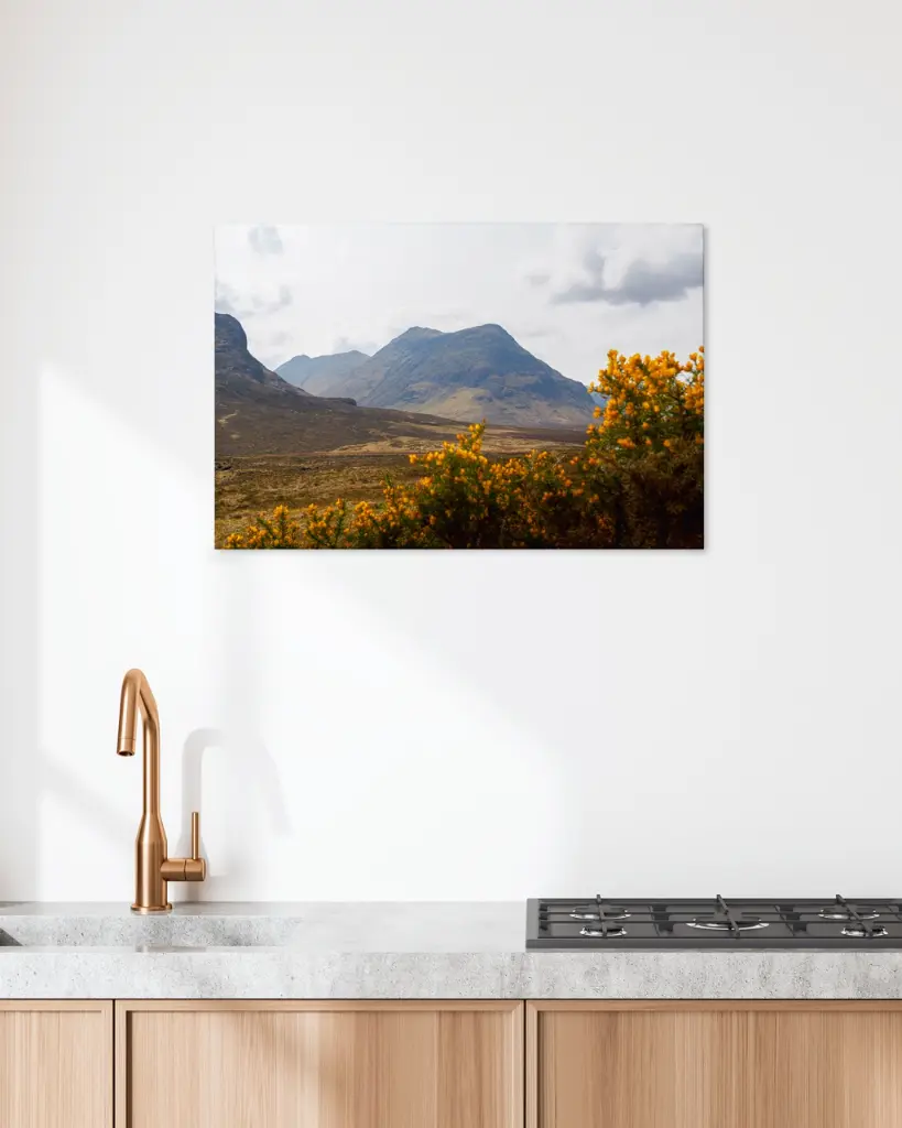 Glencoe_vallee_fleur_jaune_montagne_scotland_toile_simple_5_cuisine_scandinave_moderne.webp