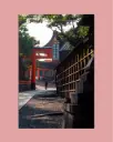 Temple Fushimi Inari – Photo d’art Japon - Aluminium