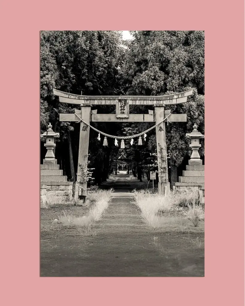 Torii ancien forêt – Photo d’art Japon - Aluminium