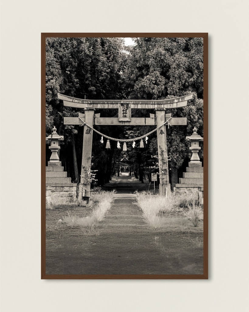 Torii ancien forêt – Photo d’art Japon - Poster encadré (21x29.7 cm / 8x12", Dark wood frame)