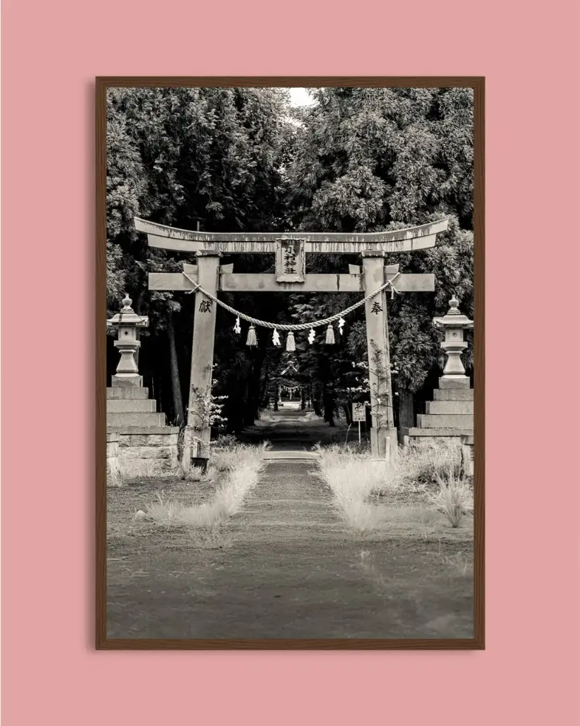 Torii ancien forêt – Photo d’art Japon - Poster encadré
