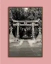 Torii ancien forêt – Photo d’art Japon - Poster encadré