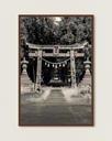 Torii ancien forêt – Photo d’art Japon - Poster encadré