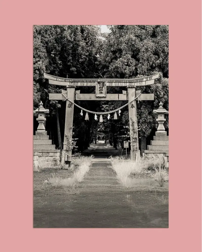 Torii ancien forêt – Photo d’art Japon - Tirage d'art