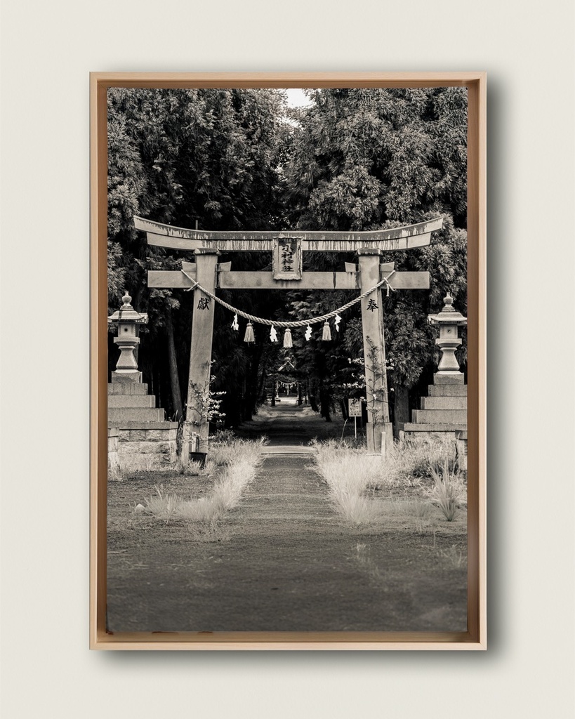 Torii ancien forêt – Photo d’art Japon - Toile encadrée (20x30 cm / 8x12″, Wood frame)