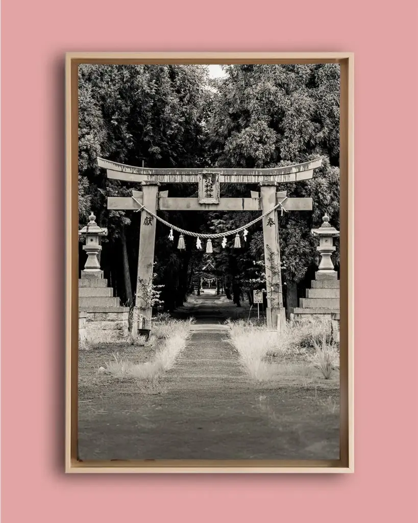 Torii ancien forêt – Photo d’art Japon - Toile encadrée