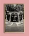 Torii ancien forêt – Photo d’art Japon - Toile encadrée