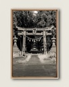 Torii ancien forêt – Photo d’art Japon - Toile encadrée