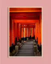 Tunnel de torii Fushimi Inari – Photo d’art Japon - Poster encadré
