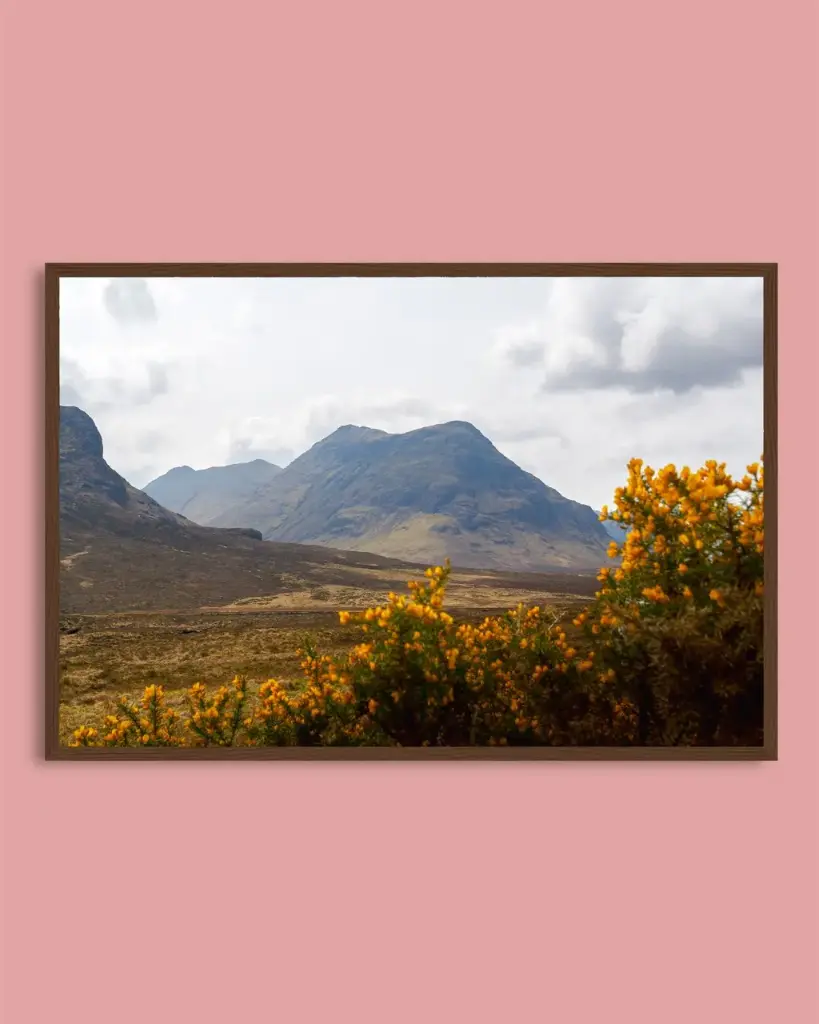 Glencoe – Montagnes et fleurs jaunes - Poster encadré