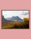 Glencoe – Montagnes et fleurs jaunes - Poster encadré