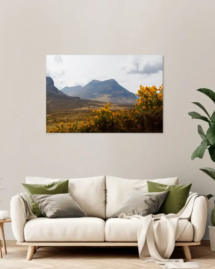 CANVAS - On the Meall trail in Bhuiridh, Scotland (20x30 cm / 8x12″, Slim)