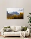CANVAS - On the Meall trail in Bhuiridh, Scotland